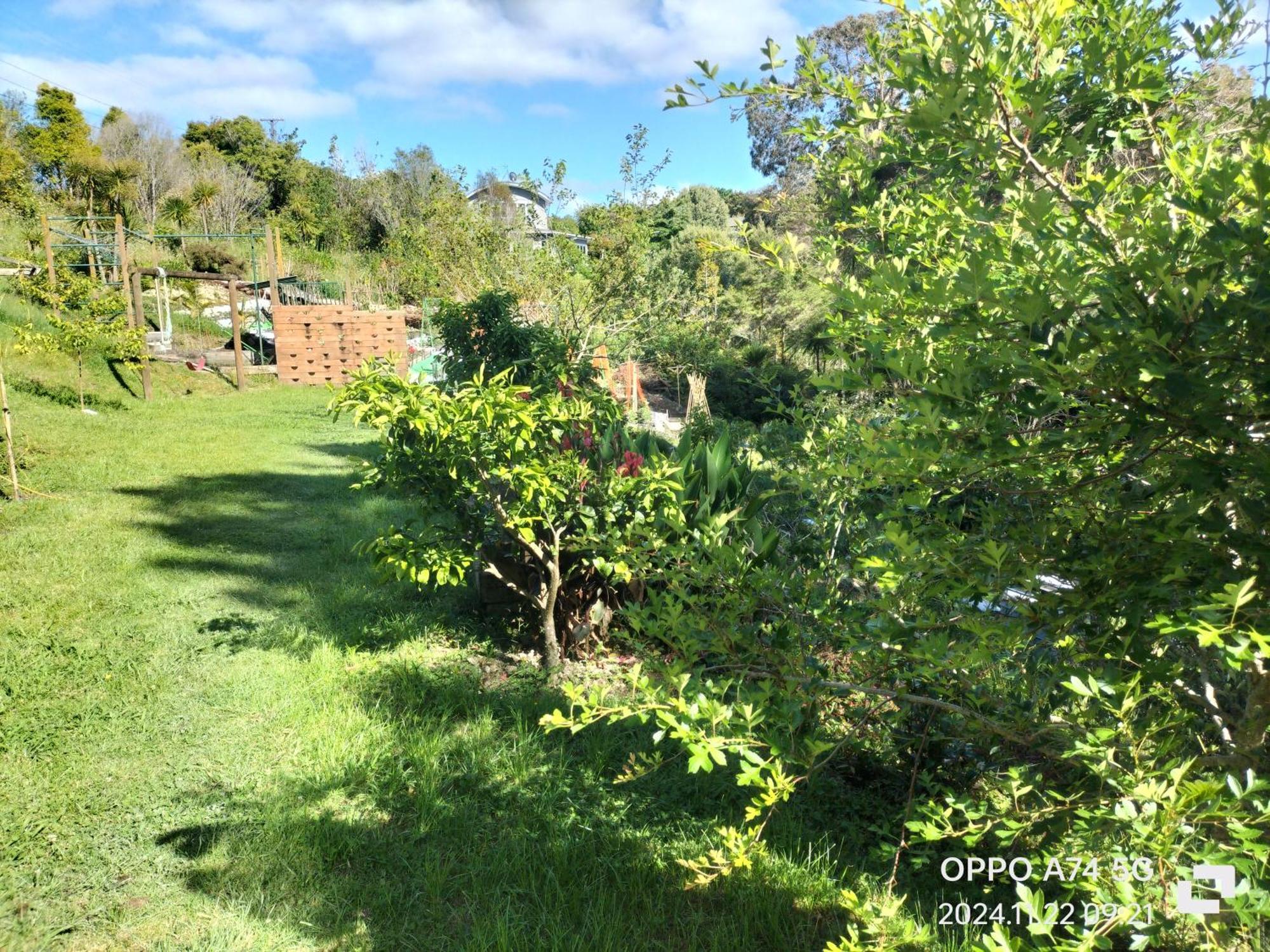 别墅中的一间客房 Auckland Bagian luar foto