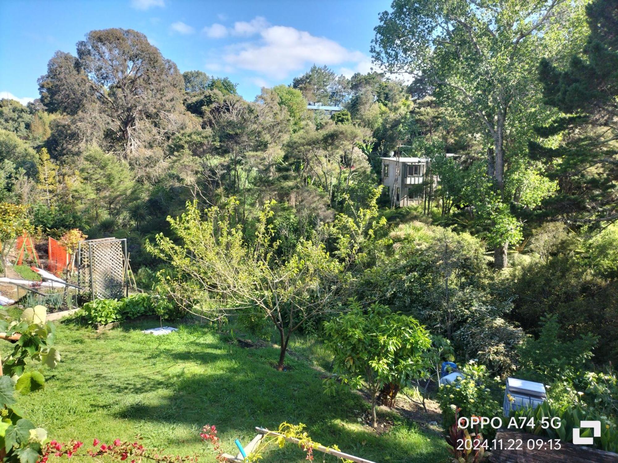 别墅中的一间客房 Auckland Bagian luar foto