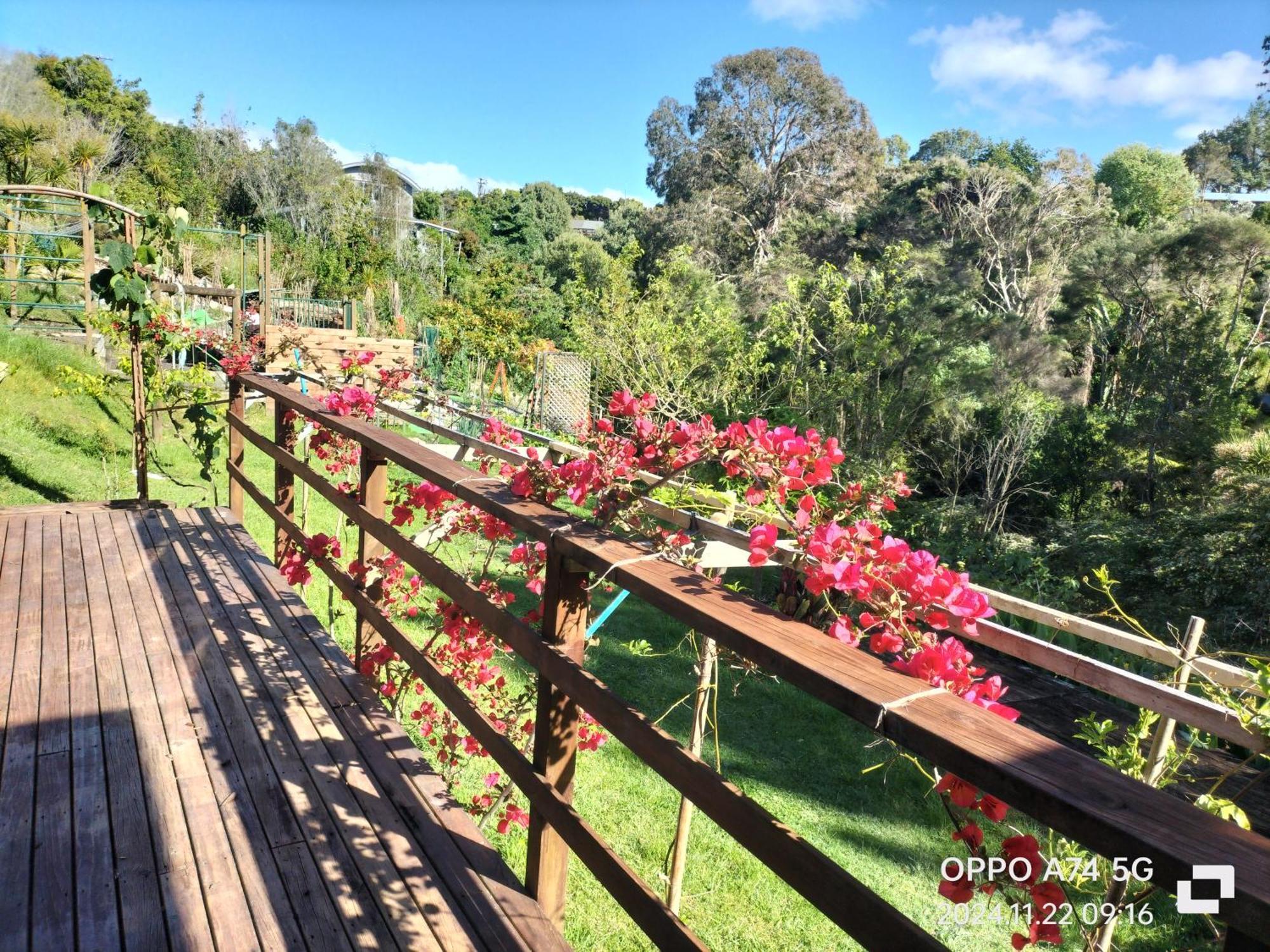 别墅中的一间客房 Auckland Bagian luar foto